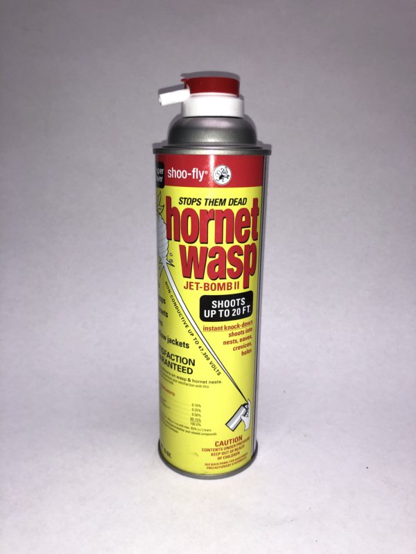 shoo fly hornet wasp